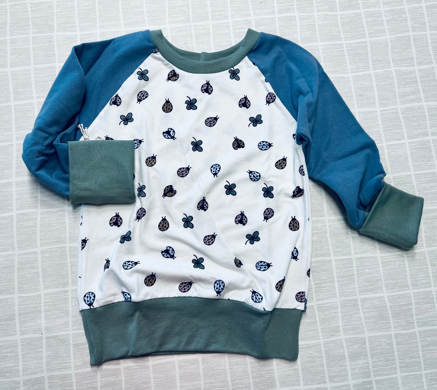 Ladybugs Grow With Me Pullover