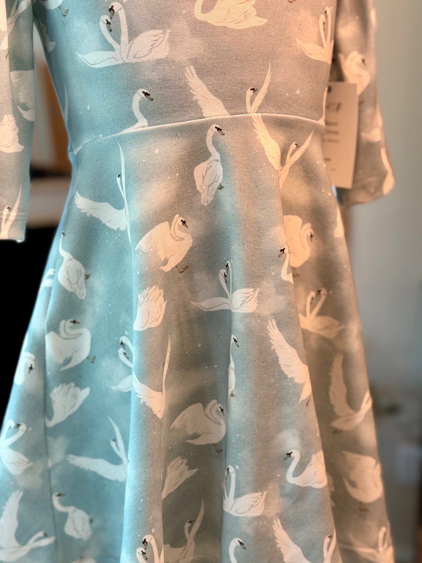 Swan 3/4 Sleeve Grow With Me Twirl Dress